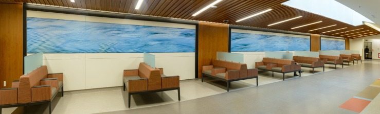 80 foot image in campbell river general hospital lobby
